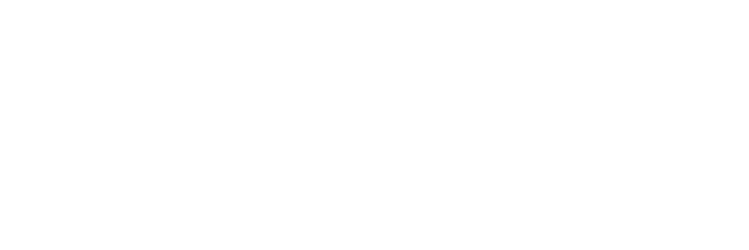 Partner 7